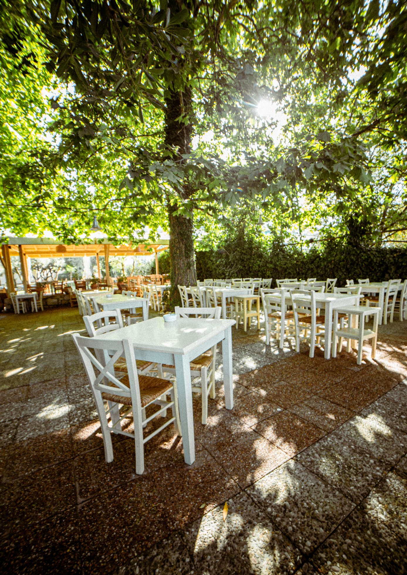 kyma beach bar restaurant